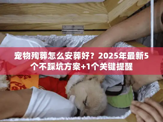 宠物殉葬怎么安葬好？2025年最新5个不踩坑方案+1个关键提醒