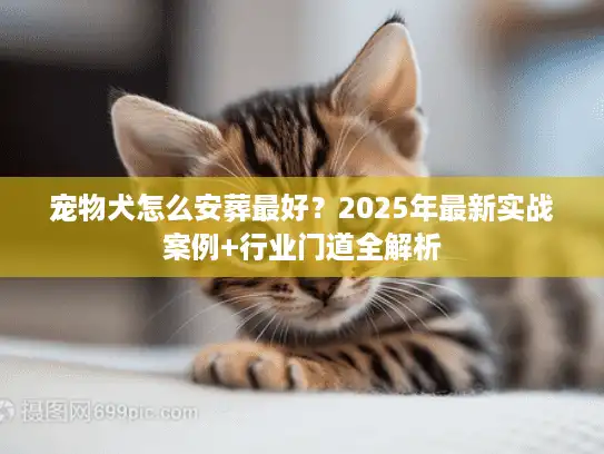 宠物犬怎么安葬最好？2025年最新实战案例+行业门道全解析