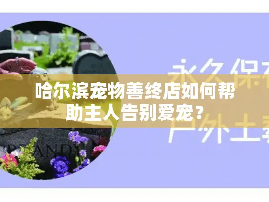 哈尔滨宠物善终店如何帮助主人告别爱宠？