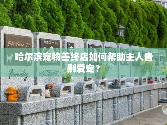 哈尔滨宠物善终店如何帮助主人告别爱宠？