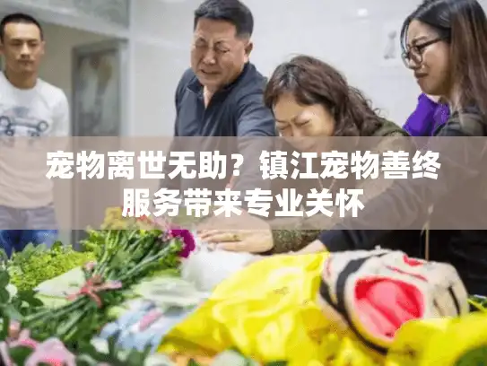 宠物离世无助？镇江宠物善终服务带来专业关怀