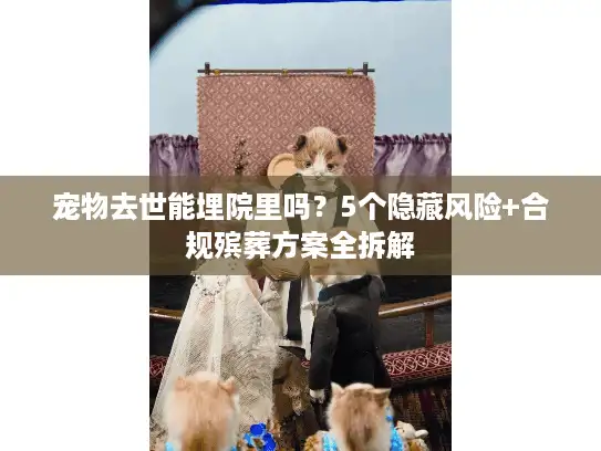 宠物去世能埋院里吗？5个隐藏风险+合规殡葬方案全拆解