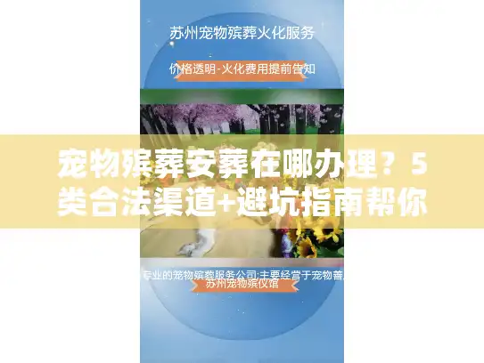 宠物殡葬安葬在哪办理？5类合法渠道+避坑指南帮你少走弯路