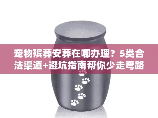 宠物殡葬安葬在哪办理？5类合法渠道+避坑指南帮你少走弯路