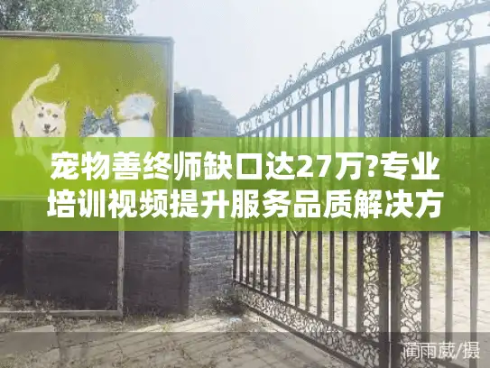 宠物善终师缺口达27万?专业培训视频提升服务品质解决方案
