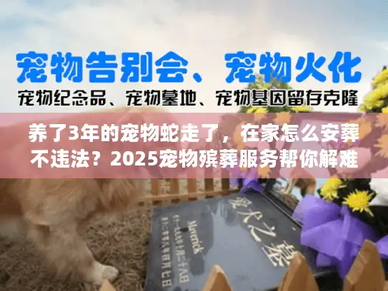 养了3年的宠物蛇走了，在家怎么安葬不违法？2025宠物殡葬服务帮你解难题