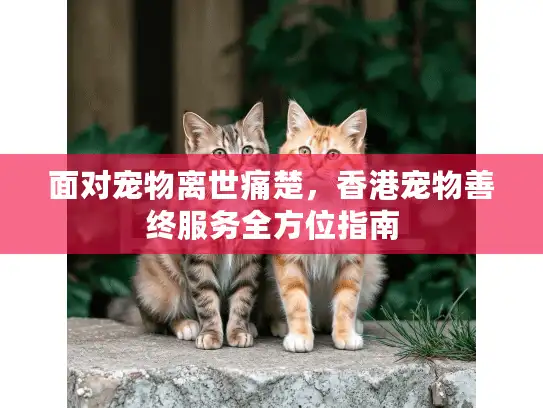 面对宠物离世痛楚，香港宠物善终服务全方位指南