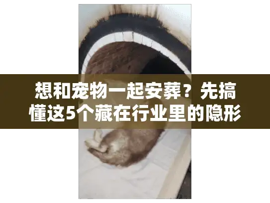 想和宠物一起安葬？先搞懂这5个藏在行业里的隐形门槛
