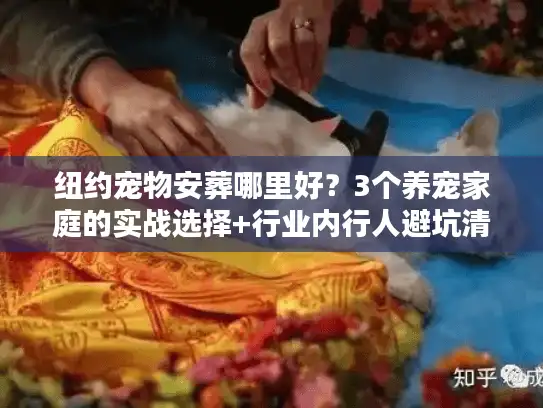 纽约宠物安葬哪里好？3个养宠家庭的实战选择+行业内行人避坑清单