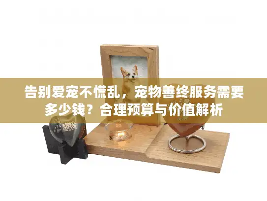 告别爱宠不慌乱，宠物善终服务需要多少钱？合理预算与价值解析