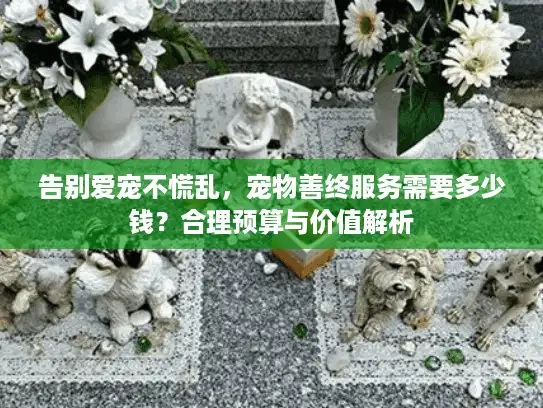告别爱宠不慌乱，宠物善终服务需要多少钱？合理预算与价值解析