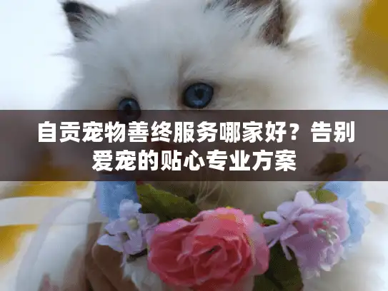 自贡宠物善终服务哪家好？告别爱宠的贴心专业方案