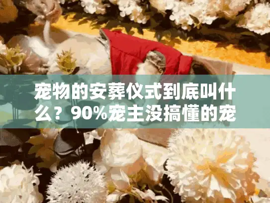 宠物的安葬仪式到底叫什么？90%宠主没搞懂的宠物殡葬服务关键