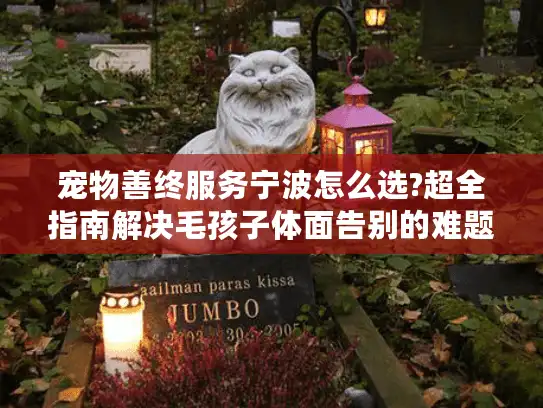 宠物善终服务宁波怎么选?超全指南解决毛孩子体面告别的难题