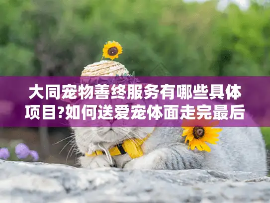 大同宠物善终服务有哪些具体项目?如何送爱宠体面走完最后一程?