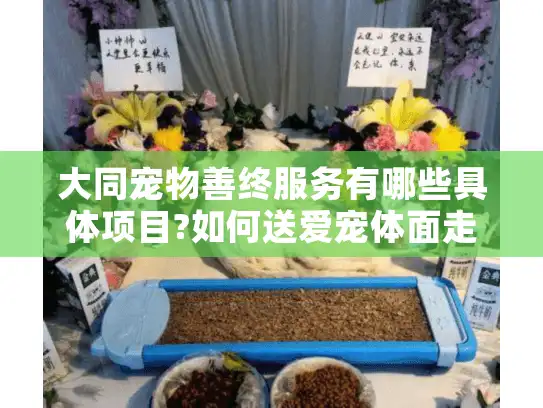 大同宠物善终服务有哪些具体项目?如何送爱宠体面走完最后一程?