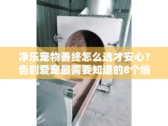 净乐宠物善终怎么选才安心？告别爱宠最需要知道的8个细节