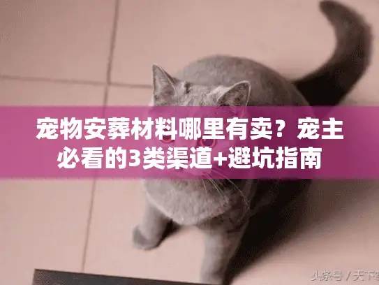 宠物安葬材料哪里有卖？宠主必看的3类渠道+避坑指南