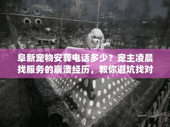 阜新宠物安葬电话多少？宠主凌晨找服务的崩溃经历，教你避坑找对