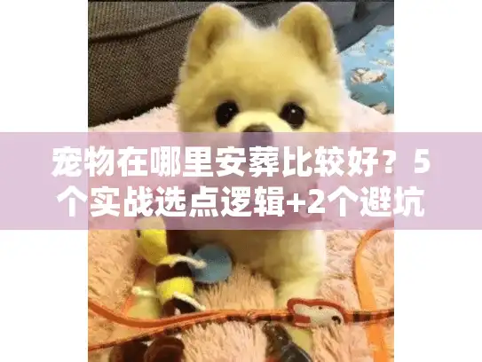 宠物在哪里安葬比较好？5个实战选点逻辑+2个避坑细节，帮你做对最后一次选择
