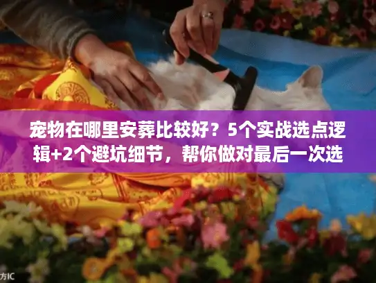 宠物在哪里安葬比较好？5个实战选点逻辑+2个避坑细节，帮你做对最后一次选择
