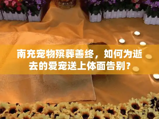 南充宠物殡葬善终，如何为逝去的爱宠送上体面告别？