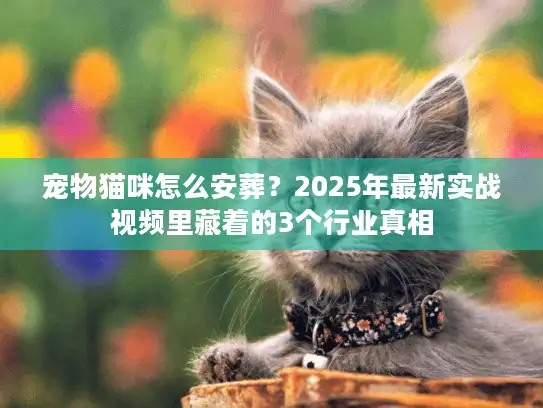宠物猫咪怎么安葬？2025年最新实战视频里藏着的3个行业真相