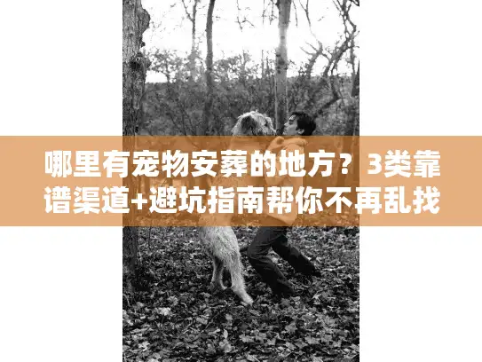 哪里有宠物安葬的地方？3类靠谱渠道+避坑指南帮你不再乱找