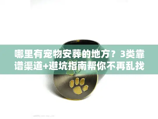 哪里有宠物安葬的地方？3类靠谱渠道+避坑指南帮你不再乱找