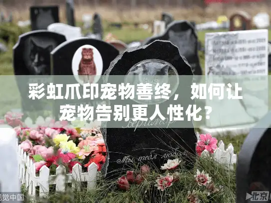 彩虹爪印宠物善终，如何让宠物告别更人性化？