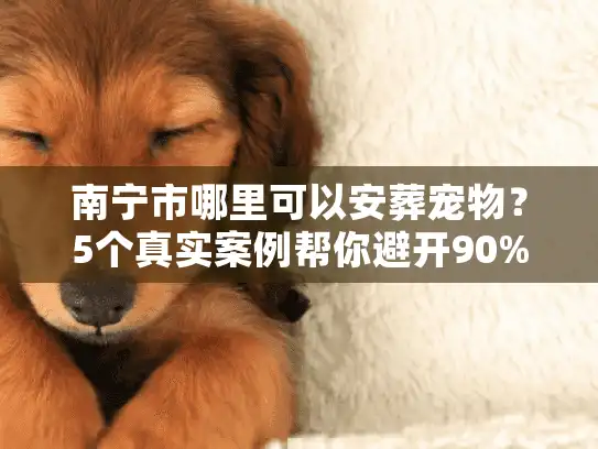 南宁市哪里可以安葬宠物？5个真实案例帮你避开90%的坑