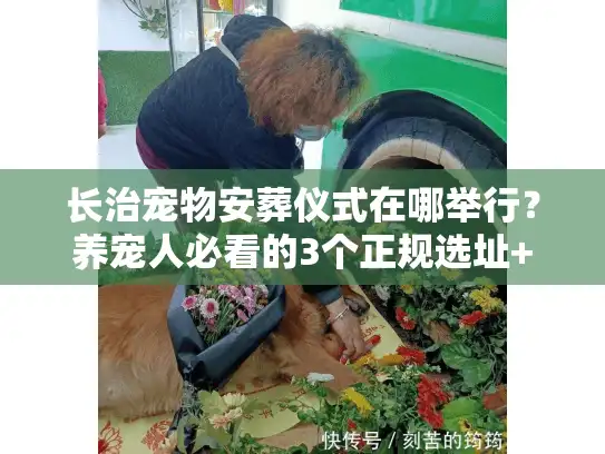 长治宠物安葬仪式在哪举行？养宠人必看的3个正规选址+避坑指南