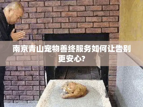 南京青山宠物善终服务如何让告别更安心?