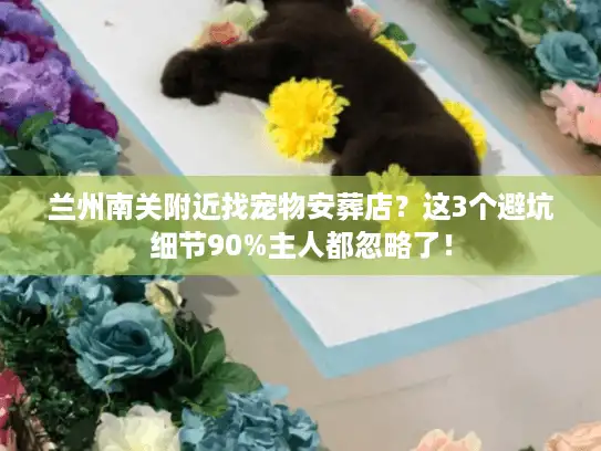兰州南关附近找宠物安葬店？这3个避坑细节90%主人都忽略了！