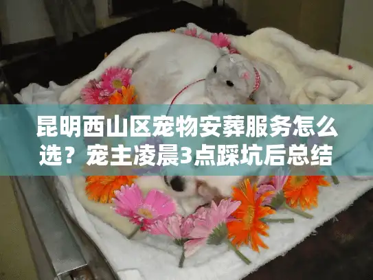 昆明西山区宠物安葬服务怎么选？宠主凌晨3点踩坑后总结的5个关键真相