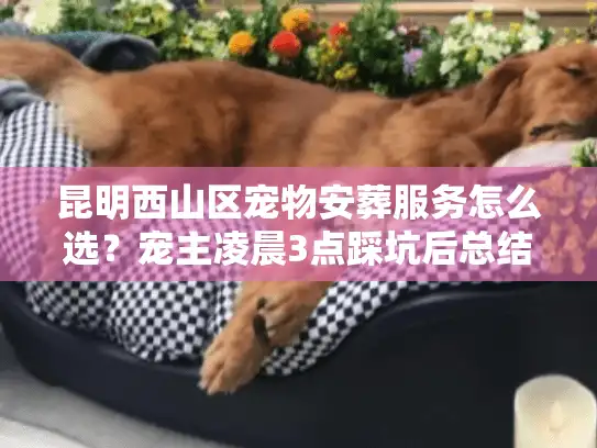昆明西山区宠物安葬服务怎么选？宠主凌晨3点踩坑后总结的5个关键真相