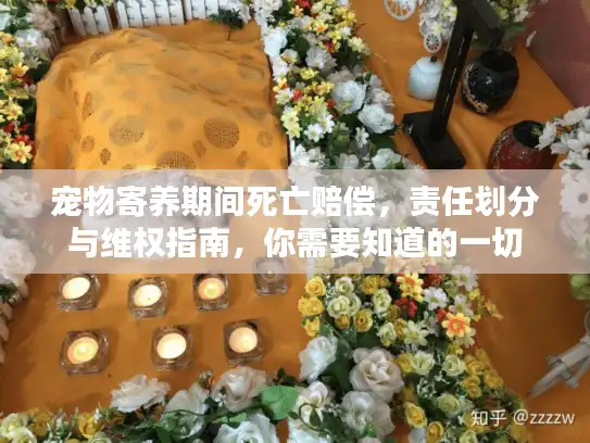 宠物寄养期间死亡赔偿，责任划分与维权指南，你需要知道的一切