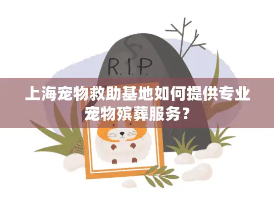 上海宠物救助基地如何提供专业宠物殡葬服务？