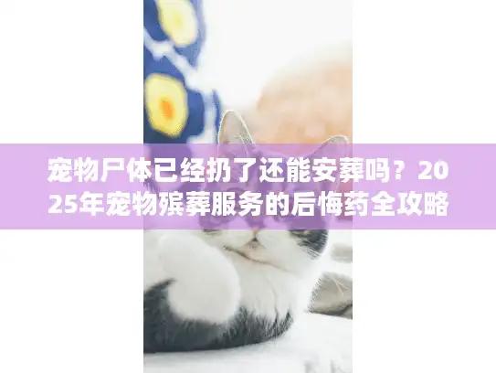 宠物尸体已经扔了还能安葬吗？2025年宠物殡葬服务的后悔药全攻略