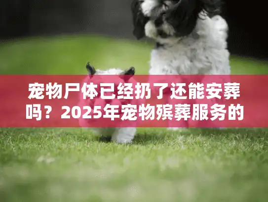 宠物尸体已经扔了还能安葬吗？2025年宠物殡葬服务的后悔药全攻略