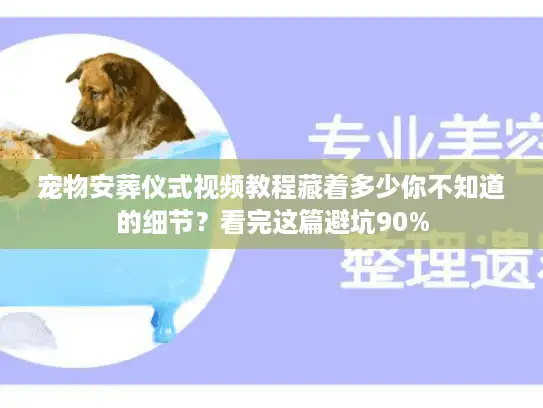 宠物安葬仪式视频教程藏着多少你不知道的细节？看完这篇避坑90%