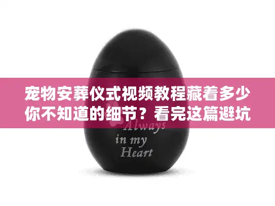 宠物安葬仪式视频教程藏着多少你不知道的细节？看完这篇避坑90%