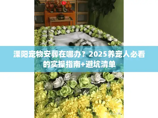 溧阳宠物安葬在哪办？2025养宠人必看的实操指南+避坑清单