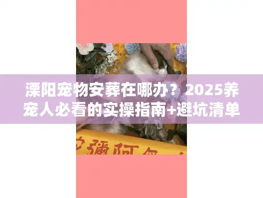 溧阳宠物安葬在哪办？2025养宠人必看的实操指南+避坑清单