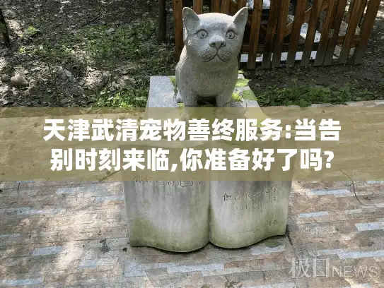 天津武清宠物善终服务:当告别时刻来临,你准备好了吗?