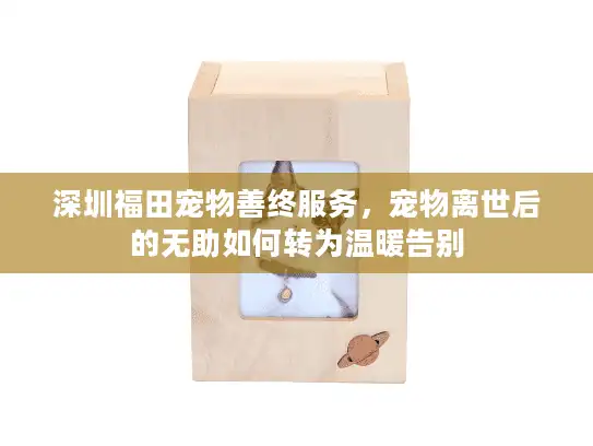 深圳福田宠物善终服务，宠物离世后的无助如何转为温暖告别