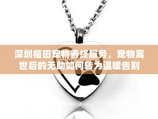 深圳福田宠物善终服务，宠物离世后的无助如何转为温暖告别