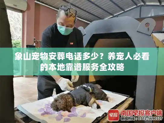 象山宠物安葬电话多少？养宠人必看的本地靠谱服务全攻略