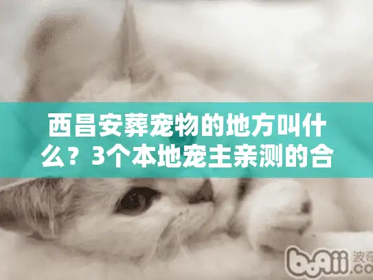 西昌安葬宠物的地方叫什么？3个本地宠主亲测的合规站点+1个必避坑