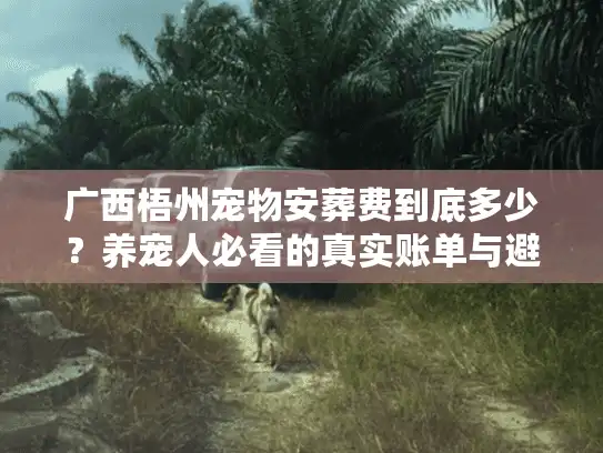 广西梧州宠物安葬费到底多少？养宠人必看的真实账单与避坑指南